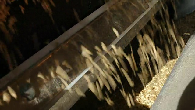 农业厂谷物烘干视频素材