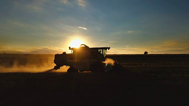 日落时背光下联合收割机的剪影。在田里收割小麦。视频素材
