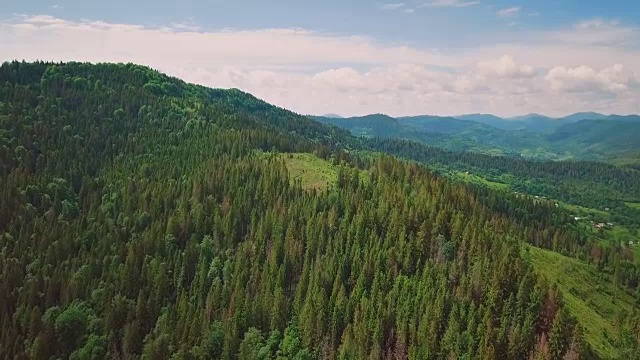 航空摄影的山谷，山脉，松树，松针规模的自然鸟类的飞行高度视频素材
