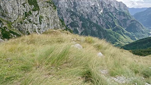 女运动员跑上长满草的山坡视频素材
