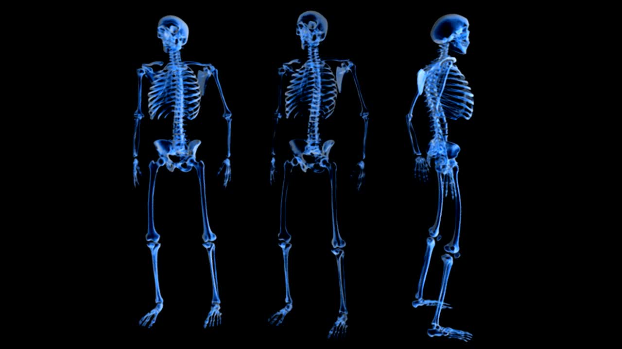 在黑色背景的x光透视下，三个骷髅中间完全逆时针旋转。左骨为前视，右骨为侧视视频下载