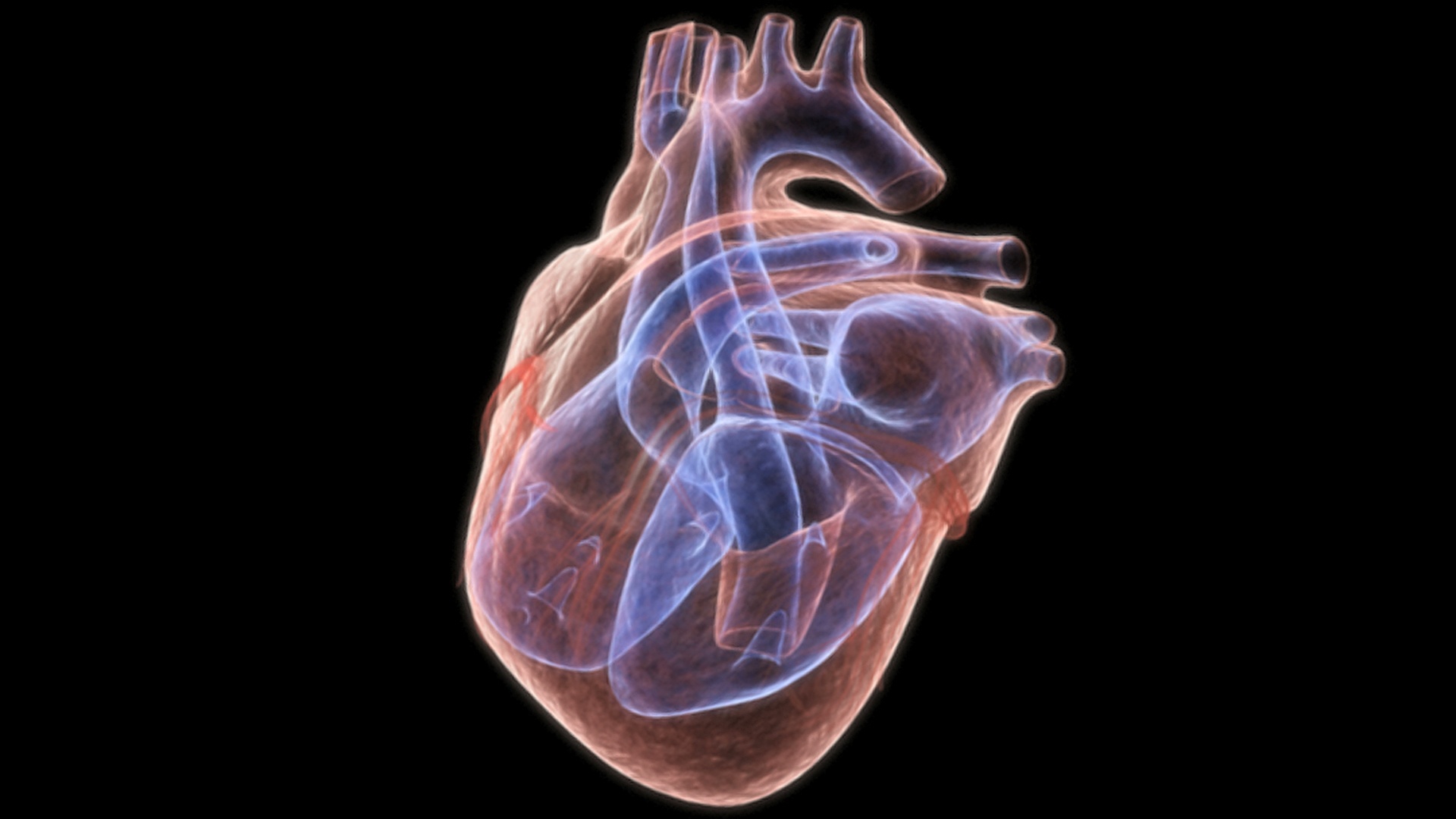心血管系统模型-弹性腔模型 - 知乎