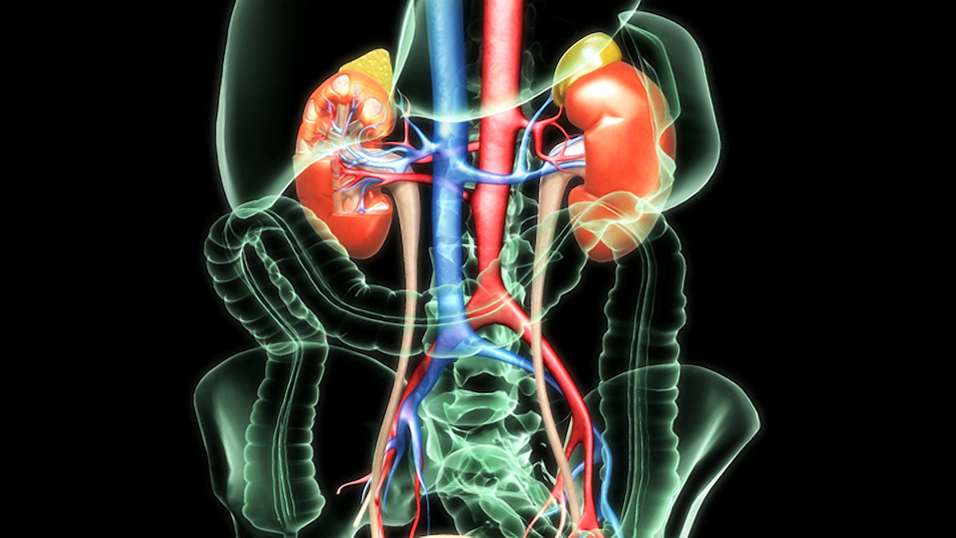 一个从右到左的平移，然后放大在x光腹部的一个切片的右肾和肾上腺的黑色背景。视频素材