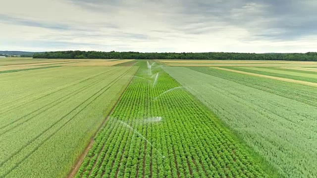 空中农业洒水器为绿色植物浇水视频下载