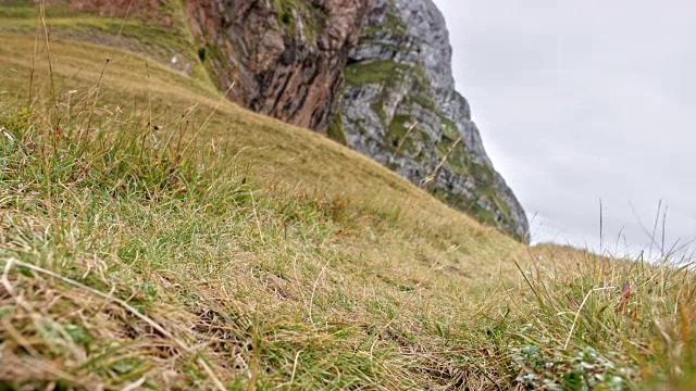 一名女跑步者正在穿过一个山地草地视频素材