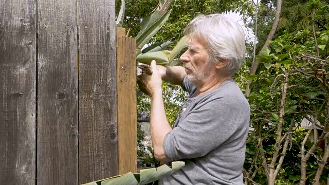 一个活跃的老人用一把锁扳手从破篱笆上拆下一颗钉子视频下载