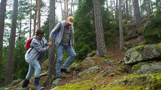 一对活跃的老年夫妇在北部森林的岩石上攀岩视频素材