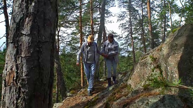 一对活跃的老年夫妇在北部森林的岩石上攀岩视频素材