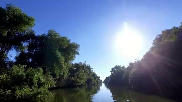 在多瑙河三角洲海峡上迎着太阳航行视频素材