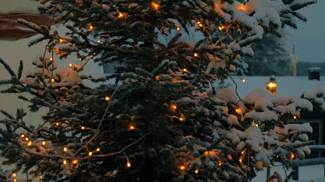 夜景的圣诞树与灯视频素材