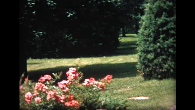 1957年，两岁男孩在割草机上视频下载