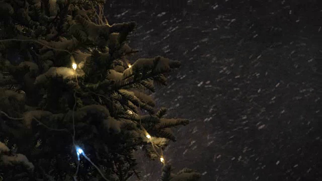 暴风雪和圣诞树的夜晚视频素材
