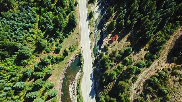 科罗拉多州森林的鸟瞰图视频素材