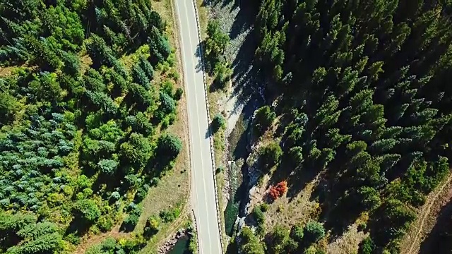 科罗拉多州森林的鸟瞰图视频素材