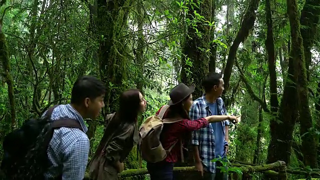 一群朋友，走在秋天的森林里，惊叹于大自然的美丽，穿着舒适的衣服徒步旅行，看远了，探索丛林小径视频素材