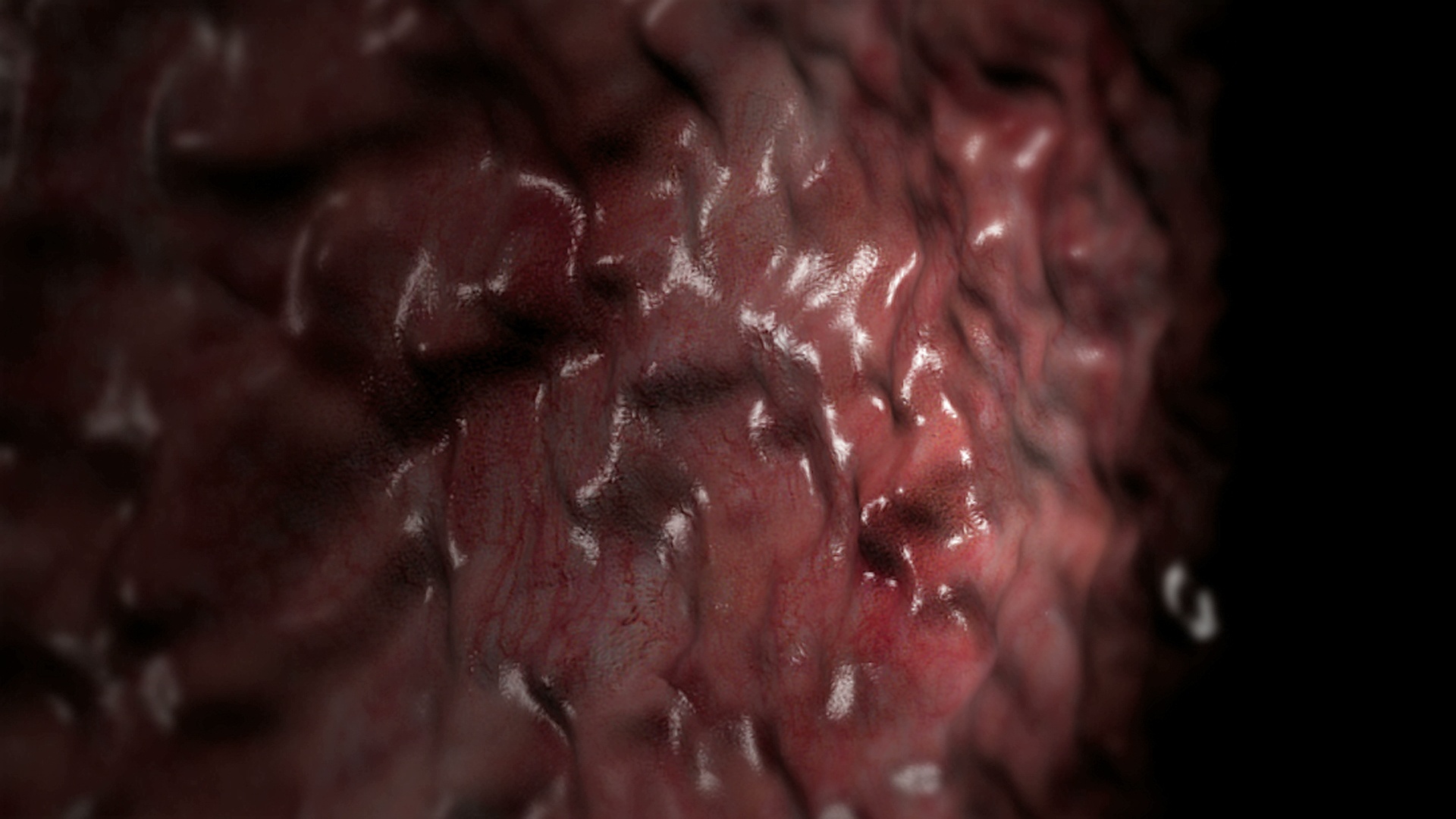 图示囊胚或受精卵在子宫内膜壁植入的动画。它在那里发展了九个月。视频素材