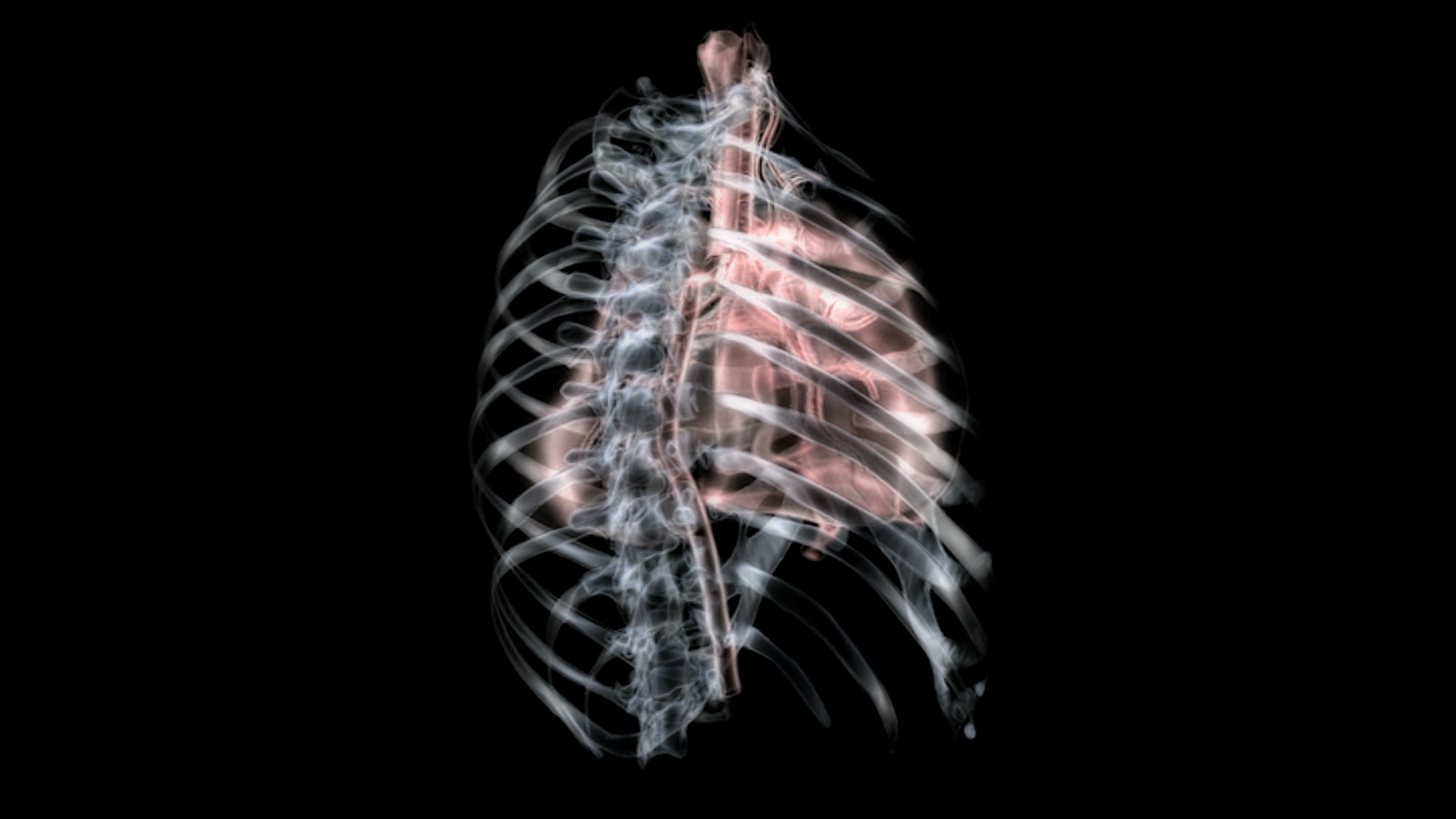 描绘胸腔内肺部和呼吸系统的动画。动画中的所有元素都具有x射线风格。当器官旋转时，摄像机从左向右平移视频素材