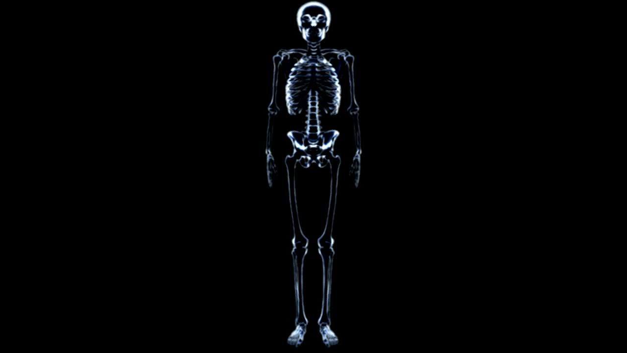 在黑色背景的x射线视图中，在一个完整的骨骼旋转的平移。除了腰椎，骶骨和骨盆，其他部位都逐渐消失。视频下载