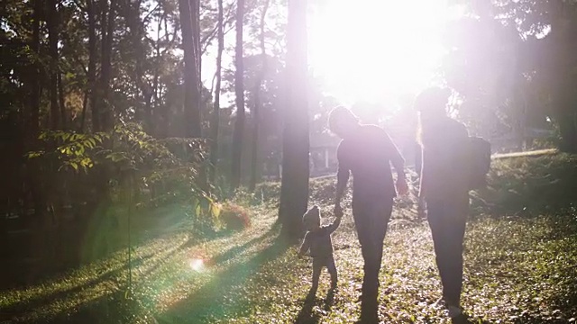 亚洲父母带着男婴在森林里散步。视频下载