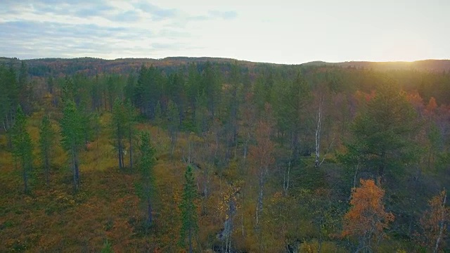 秋天的风景视频素材