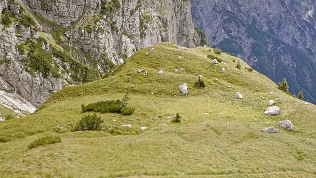 空中的人在高山上的草地上跑步，可以看到附近山脉的美丽景色视频素材