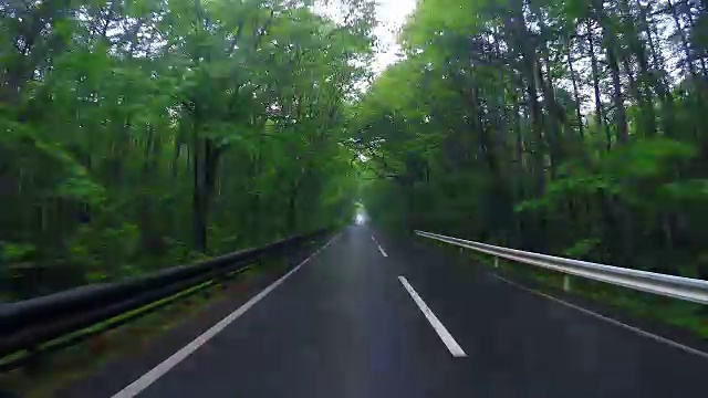 在热带雨林的乡村公路上行驶视频素材