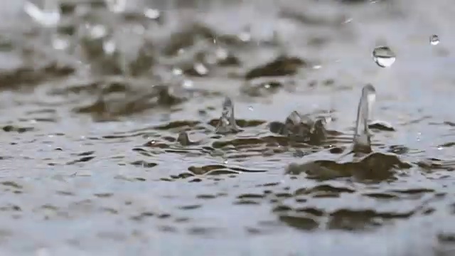 雨点落进一池水里的SLO MO视频素材