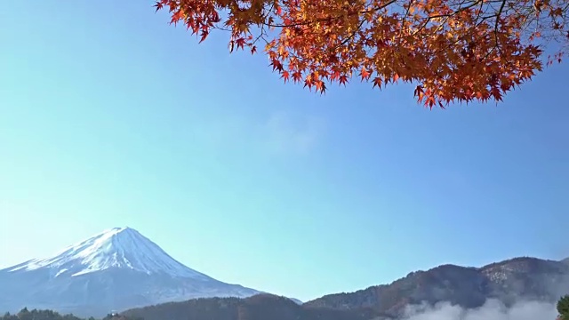 电影倾斜:富士山在koyo秋天在山梨河口湖视频素材