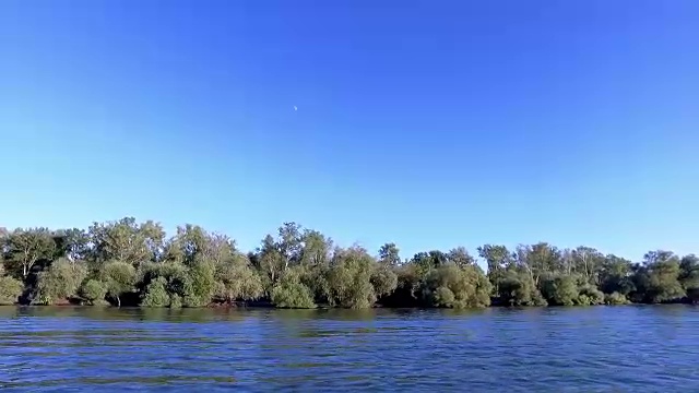 多瑙河三角洲河道上的植被视频素材