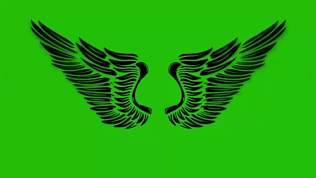 绿色背景上飞翔的翅膀的动画。天使翅膀的动画。视频素材