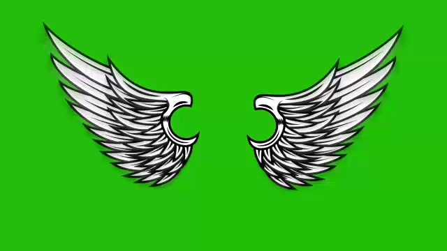 绿色背景上飞翔的翅膀的动画。天使翅膀的动画。视频下载