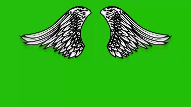 绿色背景上飞翔的翅膀的动画。天使翅膀的动画。视频素材