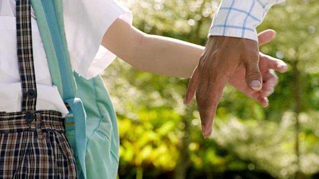 亚洲父亲和儿子牵着手在花园里散步的特写视频素材