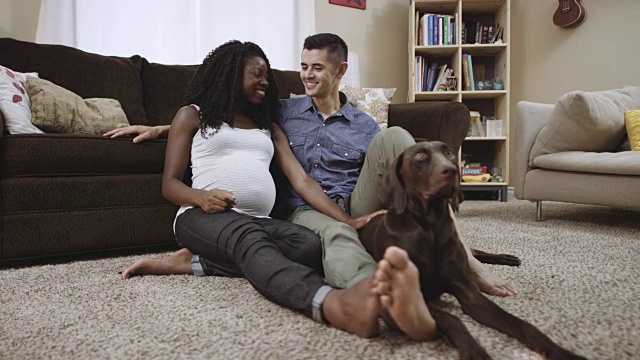 超高清4K SLO MO:迷人的混血怀孕夫妇坐在地板上，抚摸他们的狗视频素材