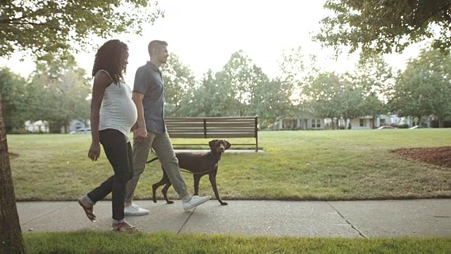 超高清4K SLO MO:迷人的混血怀孕夫妇带着他们的狗散步视频素材