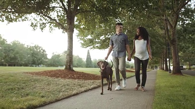 超高清4K SLO MO:迷人的混血怀孕夫妇带着他们的狗散步视频素材