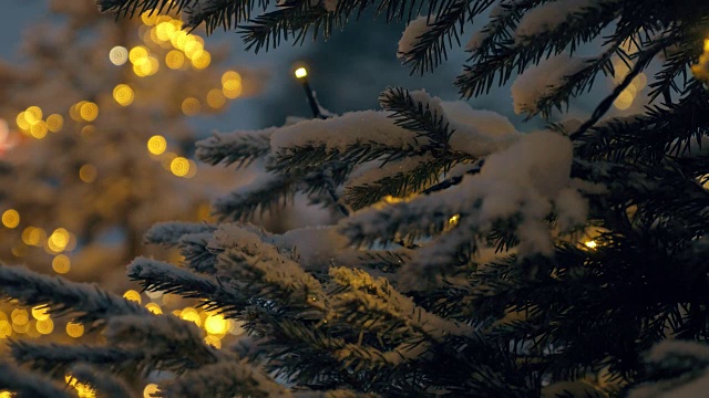 雪花纷飞的傍晚公园里，挂着圣诞彩灯的冷杉树视频素材