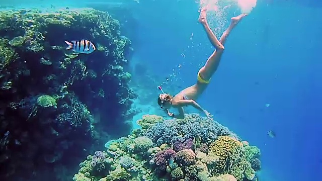 妇女潜水潜水面罩视频素材
