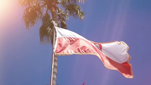 波兰国旗的慢动作视频视频素材