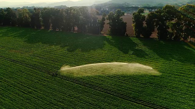 空中拍摄的绿色田野正在被洒水灌溉。天气晴朗，风景优美。视频素材