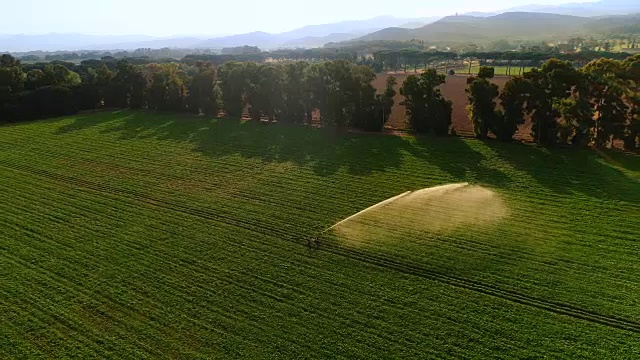 空中拍摄的绿色田野正在被洒水器灌溉。大规模工业化农业。美丽的阳光灿烂的日子。视频素材