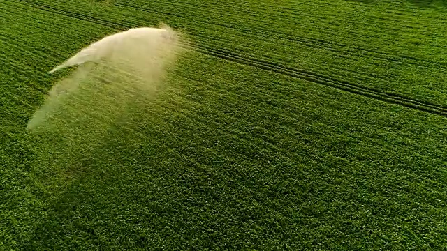 空中拍摄的绿色田野正在被洒水器灌溉。大规模工业化农业。美丽的晴朗的天气。视频素材