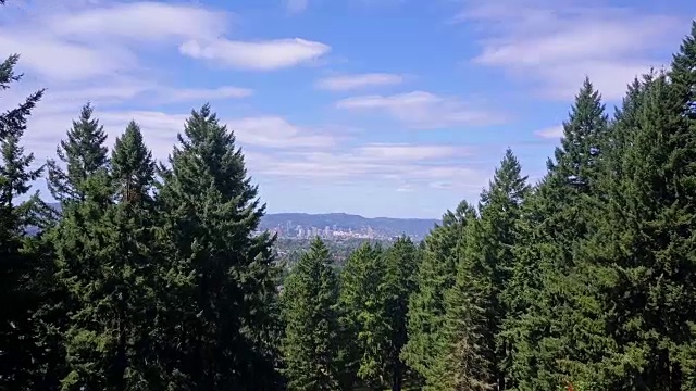 无人机穿越树木飞向俄勒冈州波特兰市视频下载