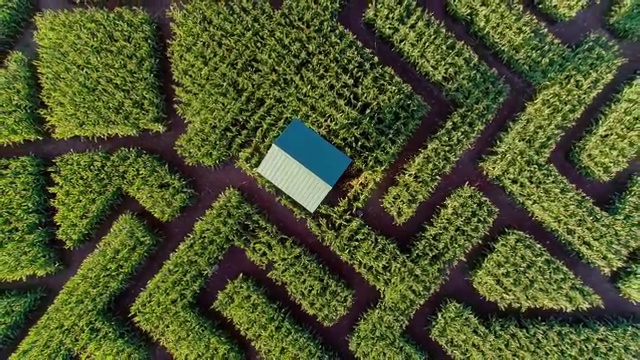 宾夕法尼亚州波科诺斯地区巨大的万圣节玉米迷宫。无人机视频正上方视频素材