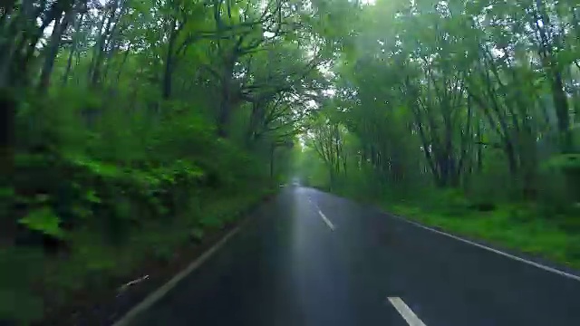 在热带雨林的乡村公路上行驶视频素材
