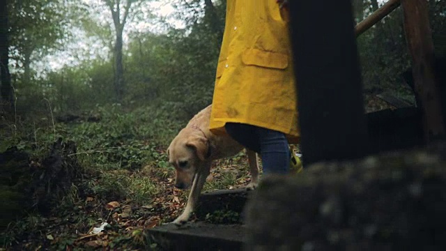 年轻女子和她的狗享受雨天视频素材