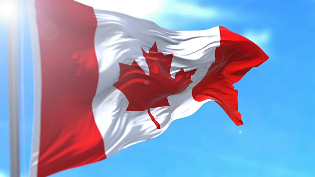 加拿大的国旗视频素材