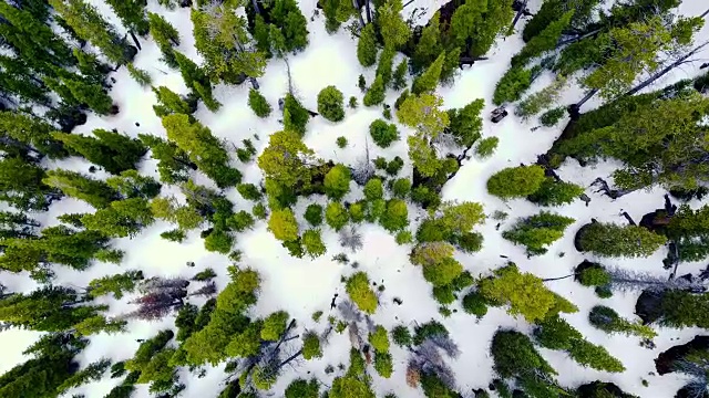 无人机拍摄森林和积雪4K超高清视频素材