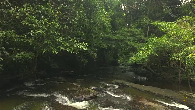 航拍热带森林中的小溪视频下载