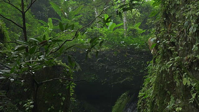一个小瀑布的特写，从流动的河流在热带森林与声音视频下载